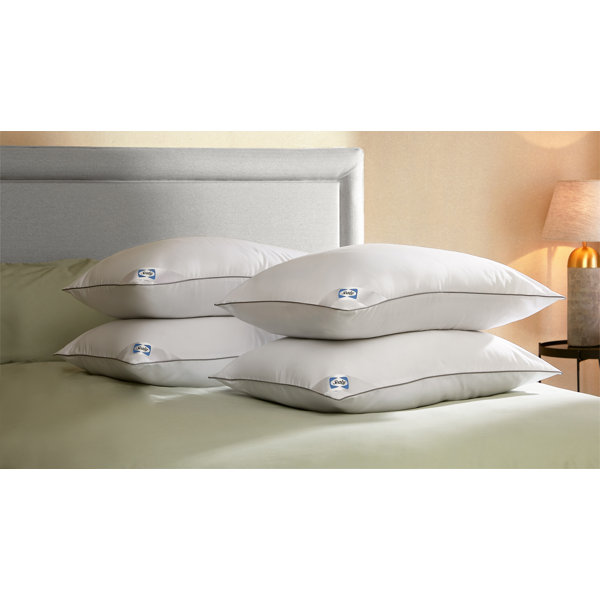 Sealy UK Sealy Anti Allergy Pillow 4 Pack Wayfair.co.uk